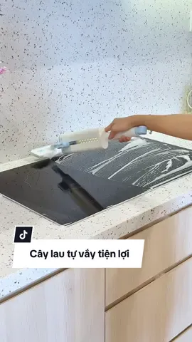Em này ngoài lai thì các bác dùng để gạt nước cũng ok #hoaihayho #reviewdogiadung #caylautuvat #caylaunhathongminh #caylaumini 