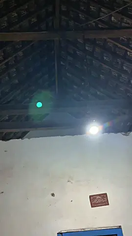 Malam yang tenang di rumah Jawa yang masih kental dengan adat lama, 🫶 #masheertankindonesia #masukberanda #trendingtiktok #trendtemplate #ikan 