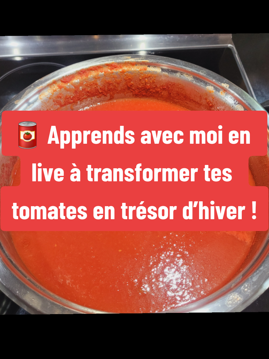 🍅 En mode conserves maison ! Ma cuisine est envahie de tomates bio prêtes à devenir de délicieuses sauces pour l’hiver 😍. Pourquoi acheter industriel quand on peut cuisiner soi-même, avec de bons produits qu’on connaît 🌱💪? 👉 Viens me rejoindre en live si tu veux découvrir mes techniques pour préparer tes propres sauces maison. Pose-moi tes questions en direct, je vais tout partager avec toi ! Bon mercredi ✨ #conservesmaison #faitmaison #tomatesbio #saucesmaison #cuisineauthentique        