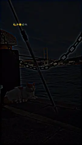 سارے بولو آمین ✨#foryoupage #moosa0096 