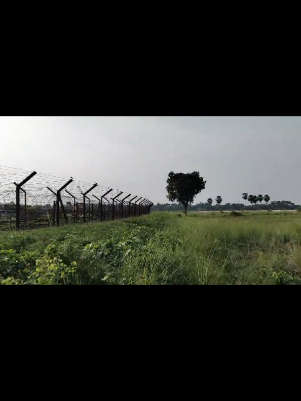 এত কাছ থেকে কি কখনো দেখেছেন