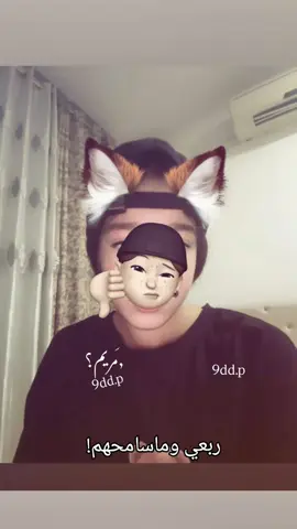 قالبي😋♥. انا بالي جهَنم لليخَونون 😋👍🏽.  #تخمطين_انعليومج🐍👍🏽 .  #بدون_خمط_بيبي🌚🍃.  #تخمطين_اعتربج_فانزه_اللي💆🏻‍♀️.  #كركوك_اكسبلور 📍🇮🇶.  #مالي_خلق_احط_هاشتقات🧢. 