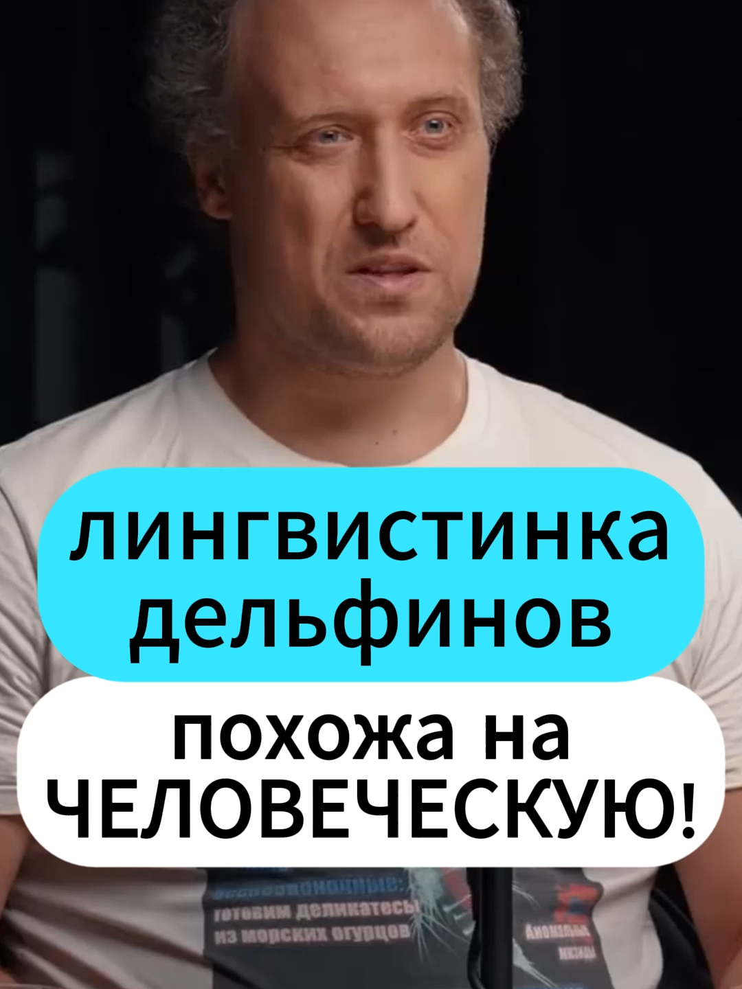 Никитин: лингвистика китов похожа на ЧЕЛОВЕЧЕСКУЮ #научпоп #образование #биология #животные