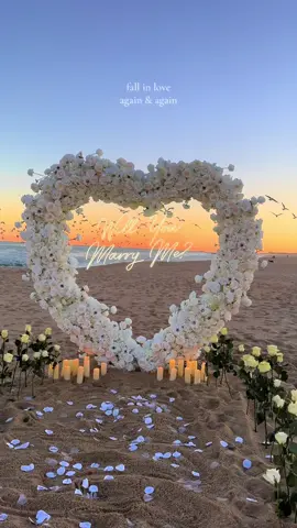 the best job in the world 🫶  @The Perfect Proposal  #proposal #proposalplanner #engagement #beachproposal #engagementring 