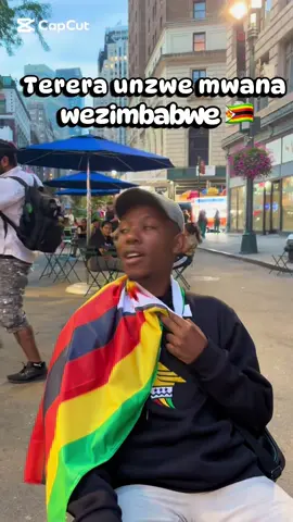 Zimbabweans Around the World Lesson #zimbabwe #tiktok #trending #world 