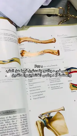 🤍  #جامعة_طرابلس_كلية_الطب_البشري 