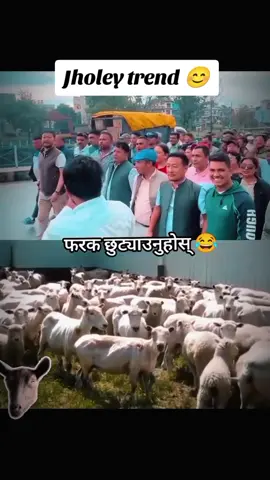 jholey trend #foryoupage 