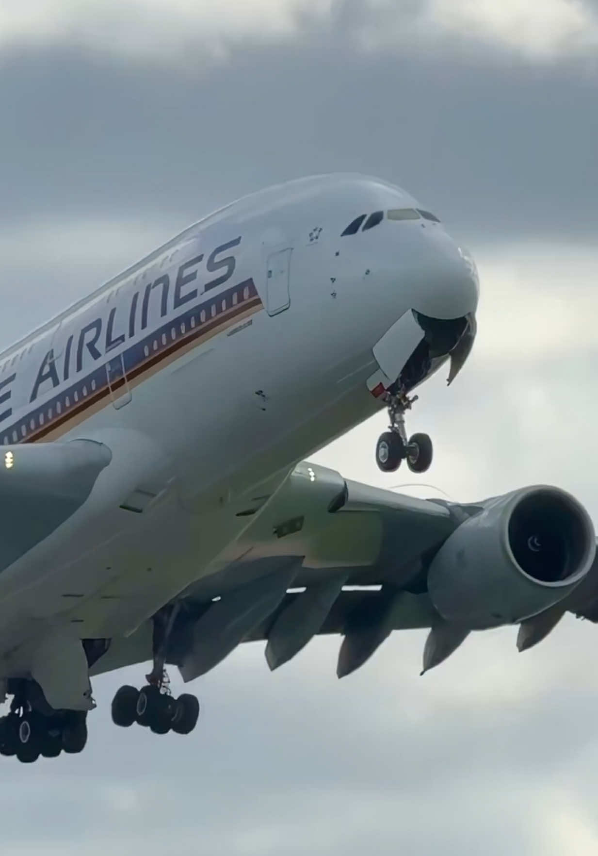 Amazing 🤩 @Singapore Airlines giant Airbus A380 makes an elegant departure from London Heathrow heading back to its base in Singapore! 🇸🇬 #a380 #singaporeairlines #planespotting #aircraft #airlines 