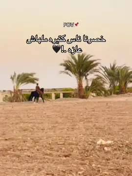 #يوسف👑 #السند♥️👬♥️ 
