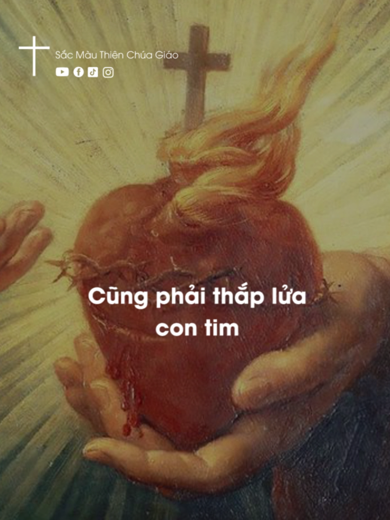 Sinh mạng con người thật đáng quý, dù có bị vùi dập ra sao hãy luôn thắp lửa trái tim #SắcmàuThiênChúaGiáo  #CôngGiáo #Catholic