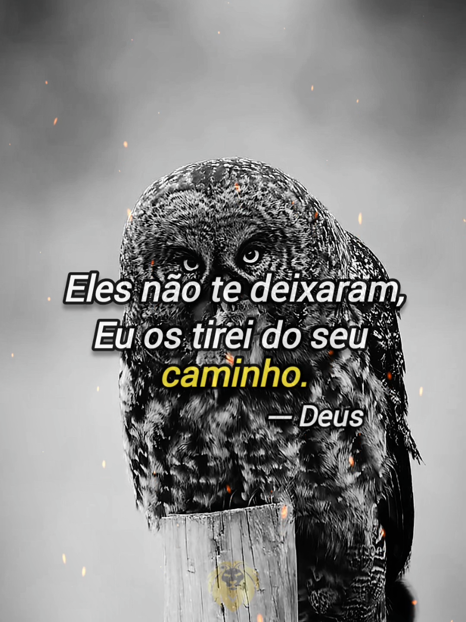 #motivation #reflexion #frasesmotivadoras 