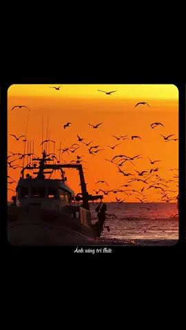 Thứ gì là quan trọng nhất trong đời. #anhsangtrithuc#truyencamhung#chualanh