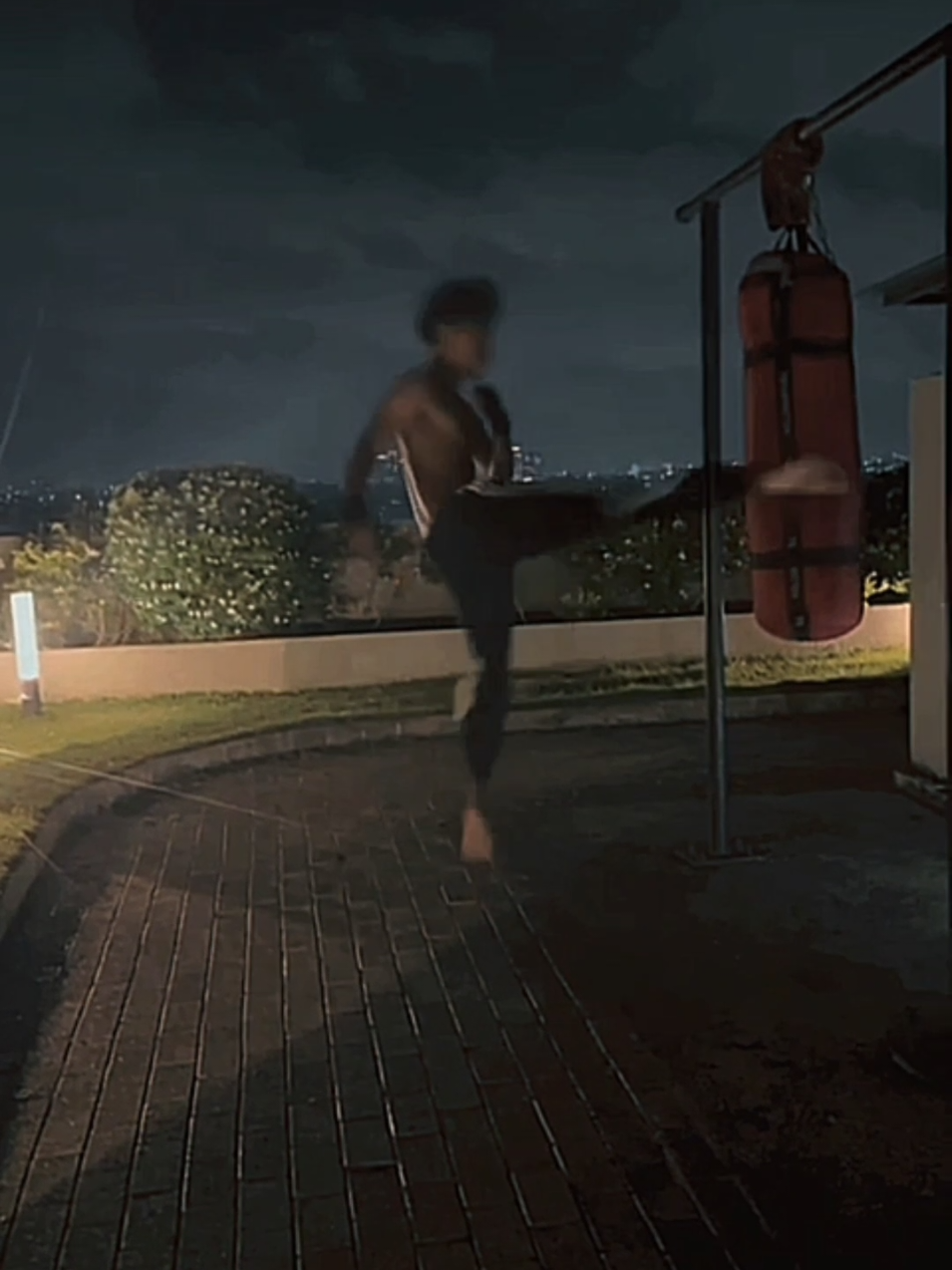 ✳️Hoping for an apocalypse to start  #martialarts #MMA #powerfullkick #traning #combos 