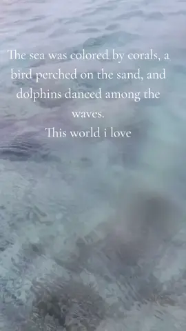 #sea #corals #dolphin 
