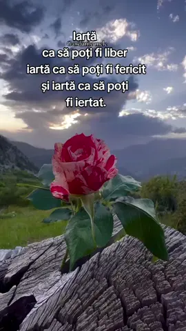 #gandurilemele 