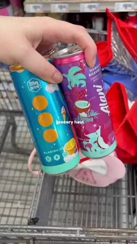 A quick little haul from HEB I didn’t get to finish my shopping that day because my kids were screaming through the store bc they thought it was funny 😭😭😭😭 #HEBhaul #momlifetok #chaoticmomlife #shoppinghaul #fyp