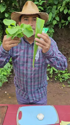 #Elcampoysusvirtudes #previene #derramescerebrales #migraña #viralvideotiktok .