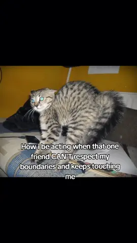 I HATE IT I HATE IT SO SO MUCH WHY CAN'T HE LISTEN??? HE'S YOUNGER AND STPID WHY CAN'T HE LISTEN TO ME??? I'M SO UNCOMFORTABLE AND HE KEEPS DOING IT AGAIN AND AGAIN, I DON'T WANT YOUR HUG, I DON'T WANT YOUR DIRTY HANDS ON MY HAIR AND I DON'T WANT TO HEAR YOUR SXUAL JOKES, SHUT UP SHUT UP SHUT UP LEAVE ME ALONE LEAVE ME ALONE AT ONCE I CAN'T BEAR IT. #vent 