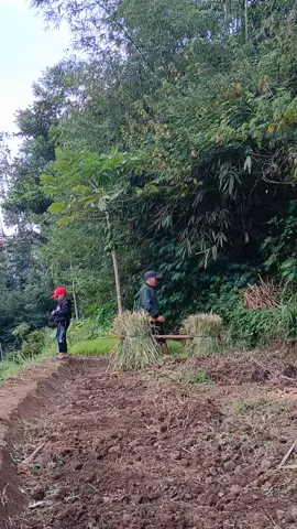 nu btr maen bawa wae#