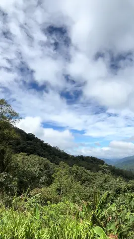 🍃✨#ธรรมชาติบําบัด #ฮีลใจ #วิวหลักล้าน #ธรรมชาติ #fyp 