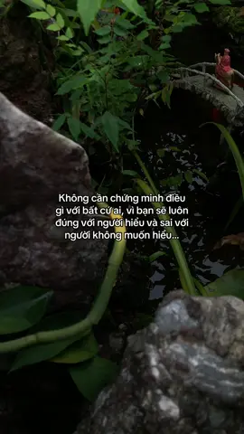 …#tamtrang #story 
