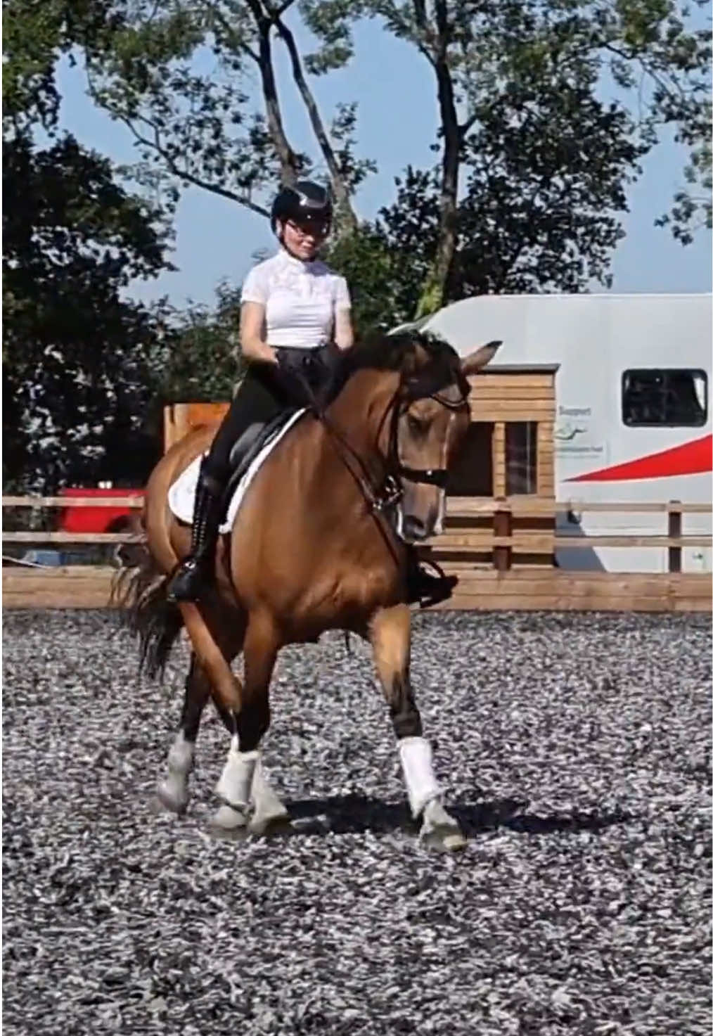 In our summer issue of our digital BD Magazine Alice Openheimer shares her secrets to success ✨ #britishdressage 