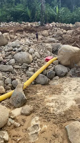 #fyp 