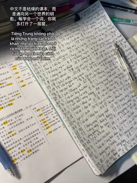 #hoctiengtrung #hsk4 #学习汉语 #tmyhochsk4 #phamdangthaomy 