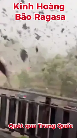 Kinh hoàng bão Ragasa quét qua Trung Quốc #bão #baoragasa #ragasa 