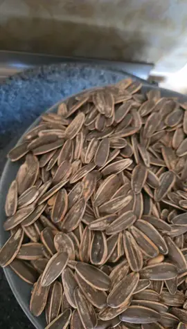 #أكلاتي حب شمس مقلي بطريقتي ضفتلها ملح وسماق ومعجون طماطم 