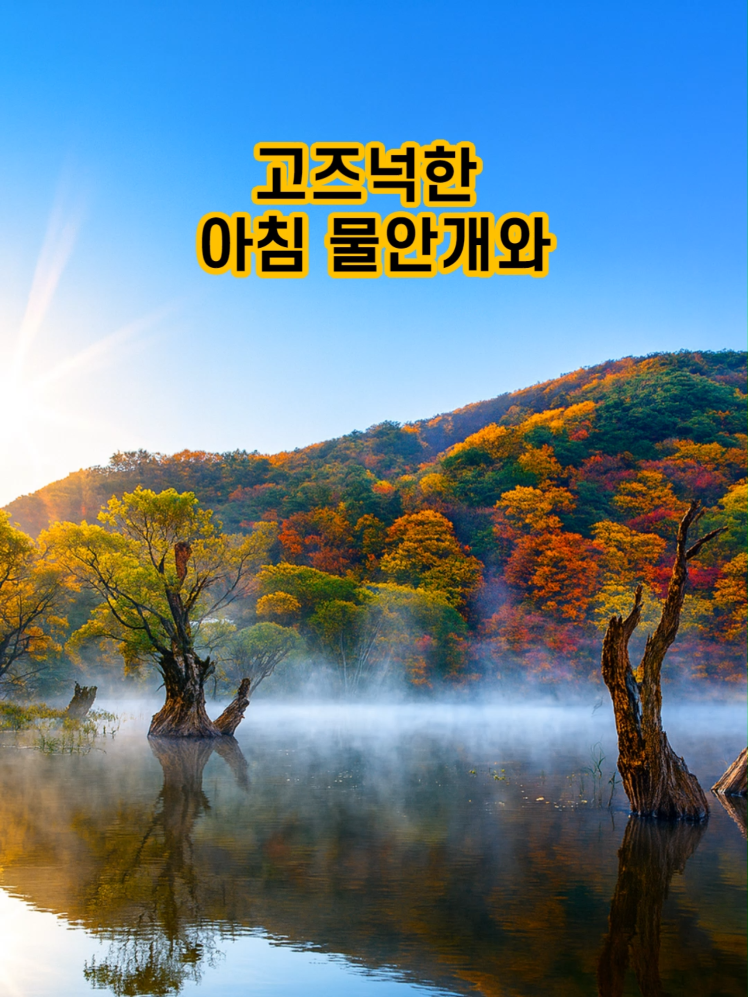 단풍과 호수의 만남, 가을 감성 여행지 7곳 🍂#가을여행#단풍명소#국내호수#여행추천#감성여행#물가단풍#단풍여행추천