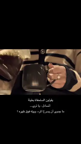 #✨ 