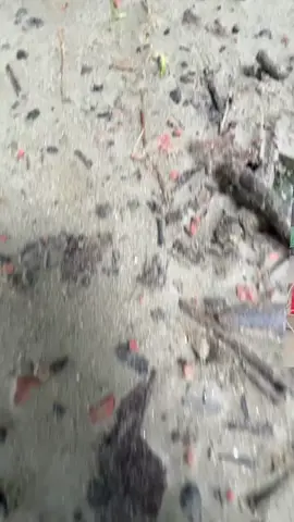 ছাদিয়া তুমি শুধু আমার 🤓🤣#fnnyvideo😂😂😂 #foryoupage #foryou 