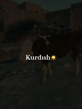 47☀️#CapCut #kurdısh #47 #keşfet 
