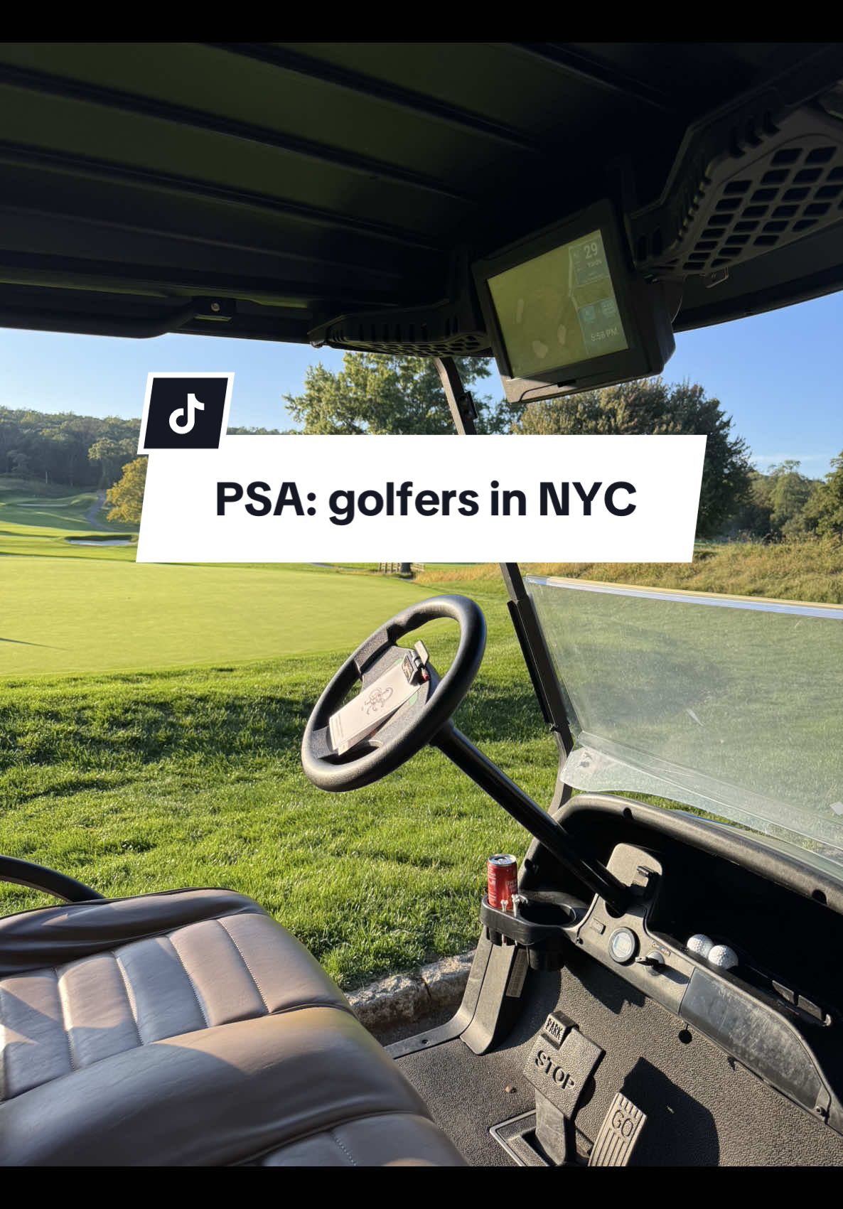 things are things, just don’t want this to happen to anyone else! our new car windows are VERY see through & I had never kept them in the trunk before. But jokes on the thieves bc theyre worth like $200 🖕🏼 #theft #golfclubs #nyc #psa #learningexperience 