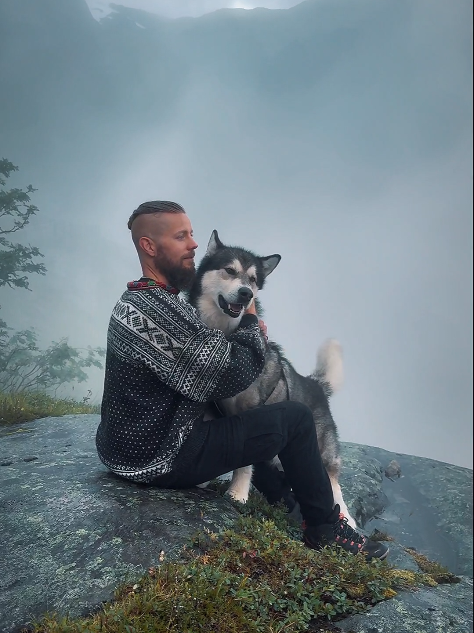 Where's my dog people at? 💙