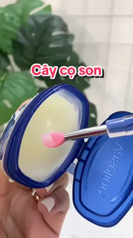 Cây cọ son dưỡng #review 