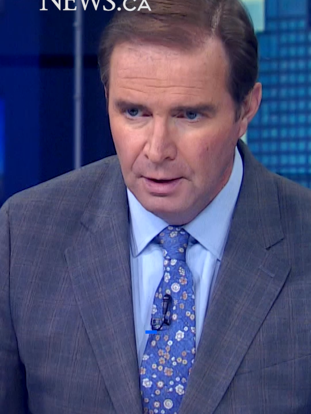 A 10-year-old Doberman named Night has received recognition after a bear encounter in May 2024 #yyc #calgary #amazingdog #bearattack #wildlifeencounter