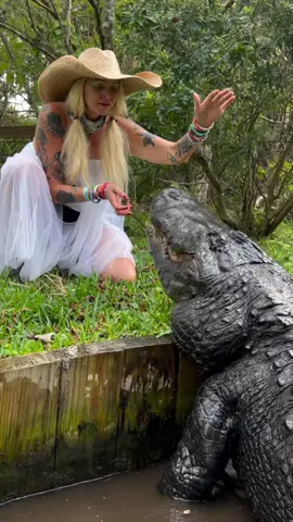 Halloween is coming‼️ @gatorland_orlando #florida #alligator #halloween 