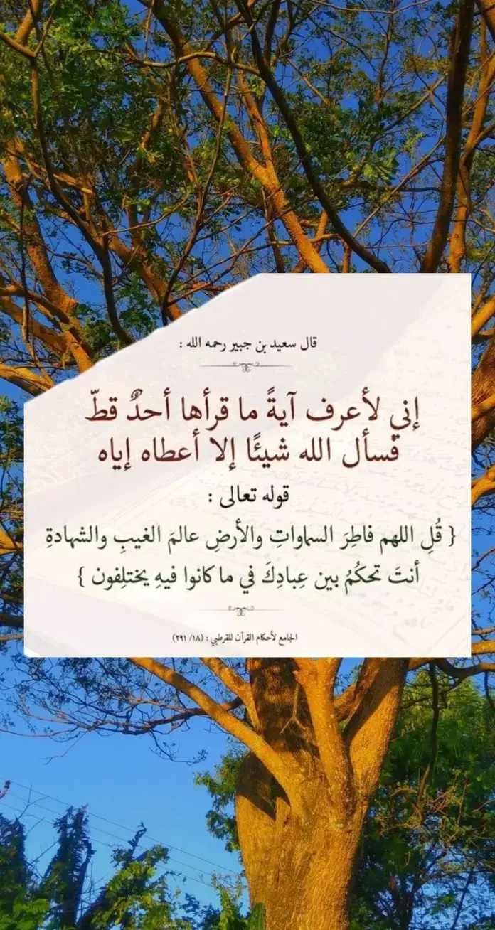 #ادعية#دعاء#دعاء_مستجاب#ادعية_المؤمنين#اجمل_الدعوات