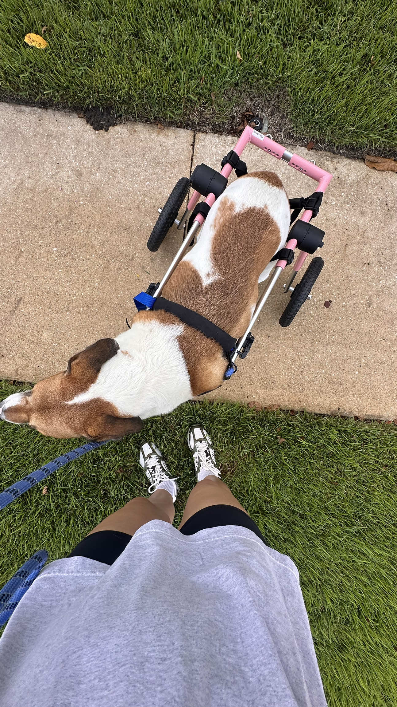 An idea for Hannah's next skit would be showing how capitalism strips us of our autonomy by having a server serve a red hat, and instead of denying them service for being in a hateful cult, they have to put on a smile and give them good service. 