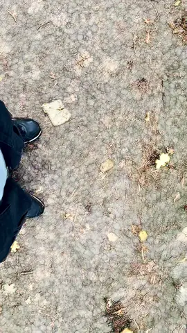 #lucy #replication This one wonked my eyes