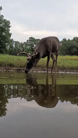 Take alittle drankkkkk #deerhunting #bigbucks #bowhunting #filming 