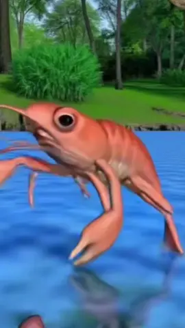 #waydownyonderonthechattahoochee #waydownyonderonthechattahoochee #waydownyonder #chattahoochee 