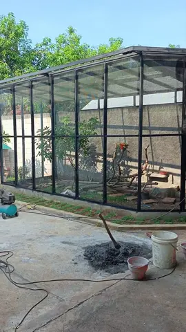 pengecatan finishing,  lanjut kita buat taman  #aviary  #miniaviary 