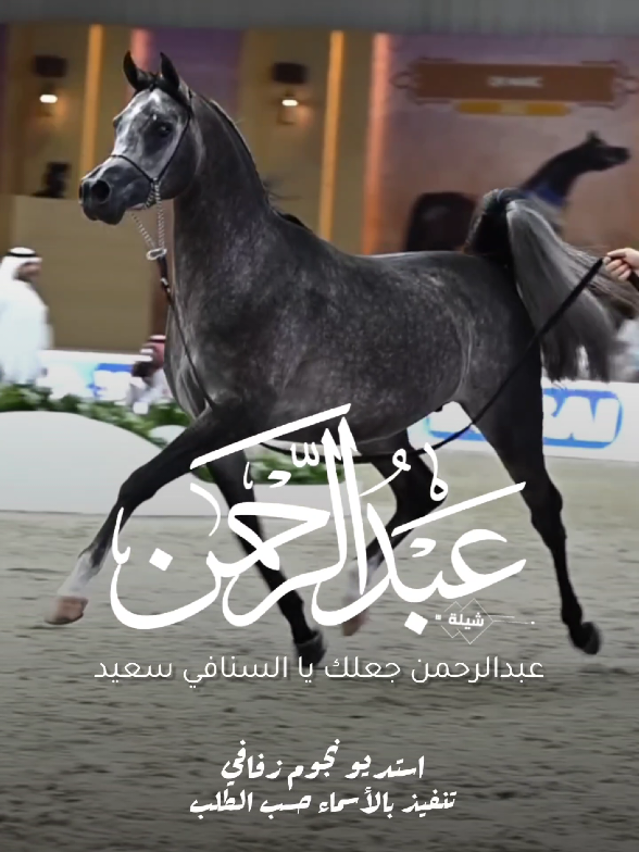 شيلة باسم عبدالرحمن 2026 شيلة مدح عبدالرحمن #استديو_نجوم_زفافي #لطلب_الشيلات_0505336824 #السعودية #الكويت #قطر  #تصميم_فيديوهات🎶🎤🎬تصميمي🔥 #تصميم_اسماء_حسب_الطلب #شيلة_باسم_عبدالرحمن #شيلة_عبدالرحمن #عبدالرحمن 