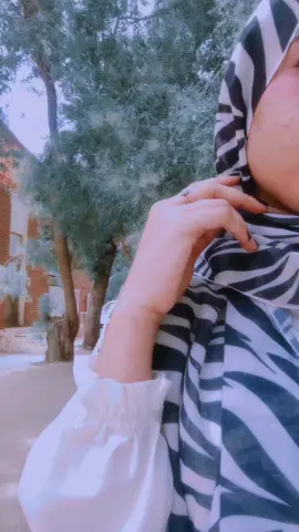 #نهرالنيل_الدامر_عطبره_شندي_بربر #شنديناااا💞💞💞💞💞💞💞💞💞 