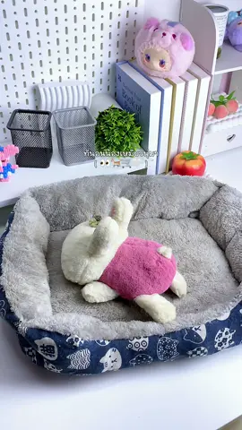 นุ่มน่ารักมากก น้องเหมียวชอบสุดๆ 🐈🤍 #ที่นอนน้องแมว #ที่นอนสัตว์เลี้ยง #ทาสแมว #คนรักแมว #ของใช้สัตว์เลี้ยง🐾 