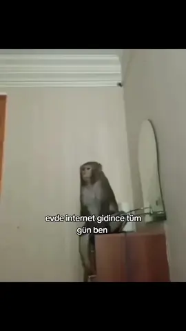 cok komık oldu spfmepkfoejr8wlsç #fypシ #cemresolmaaz #cellatbabam #repost #video 