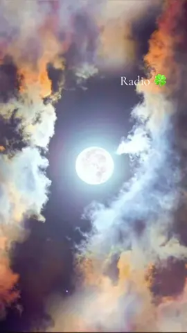 #creatorsearchinsights #bdk017 #relaxingvibes #fyp #calm 